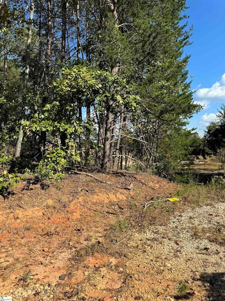 2 Jones Kelley Rd, Travelers Rest, SC 29690