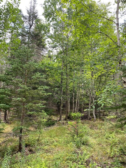 0 Breezy Bay Rd Unit 1461449, Bar Harbor, ME 04609