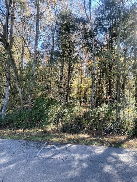 0 Hayes Rd, Lawrenceburg, TN 38464