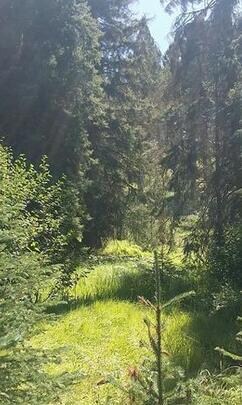 Nhn Rainbow Lode Bell Ave, Philipsburg, MT 59858