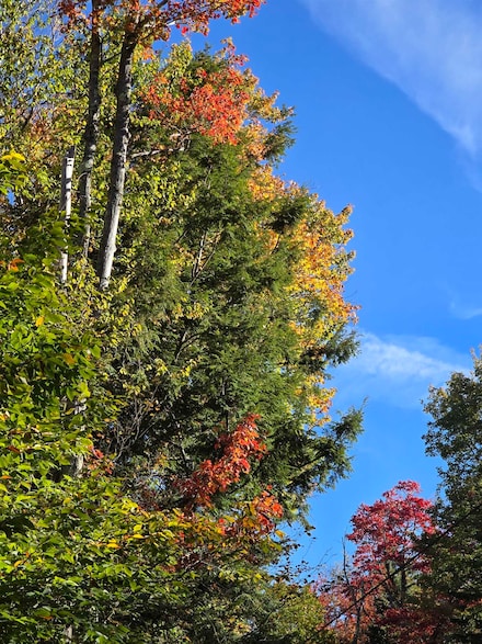 0 Klondike Rd Unit 5062056, Stamford, VT 05352