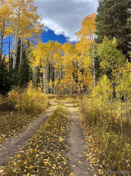 20300 King Bolt Trail, Oak Creek, CO 80467