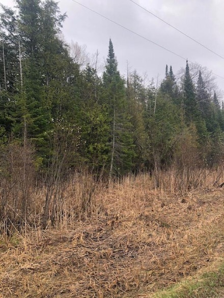 TBD Banwell Rd, Alanson, MI 49706