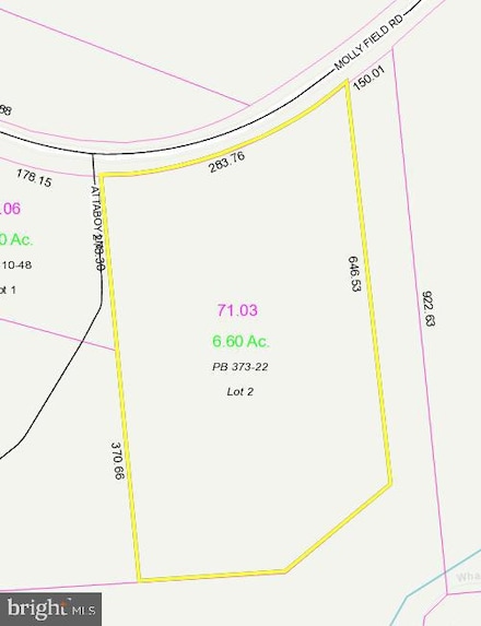 LOT 2 Molly Field Rd, Dagsboro, DE 19939