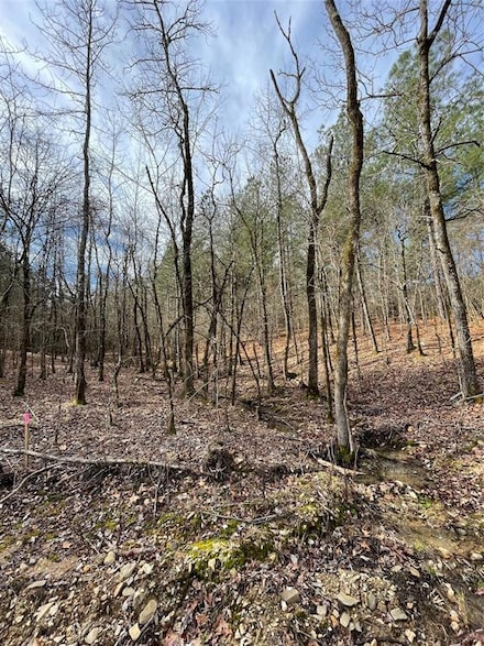 768 Timber Creek Trails South Xl, Broken Bow, OK 74728