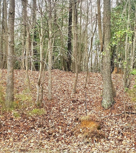 Lot 11 N Independence Dr, Montross, VA 22520