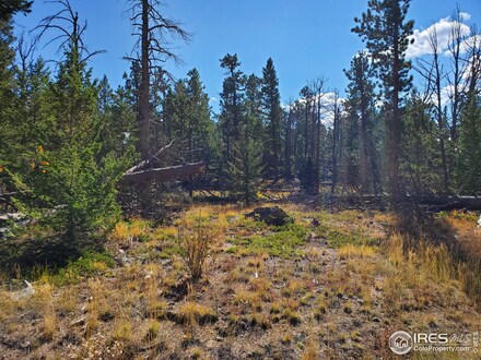 98 Menominee Cir, Red Feather Lakes, CO 80545