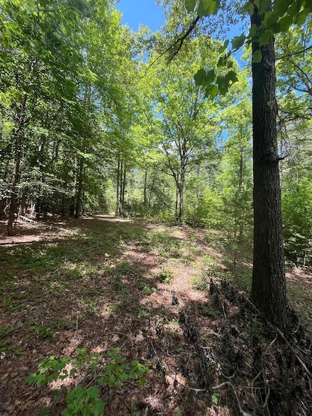 Cabin Creek Rd, Ellerbe, NC 28338