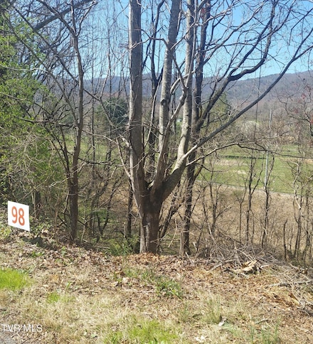 98 Country Club Rd, Unicoi, TN 37692