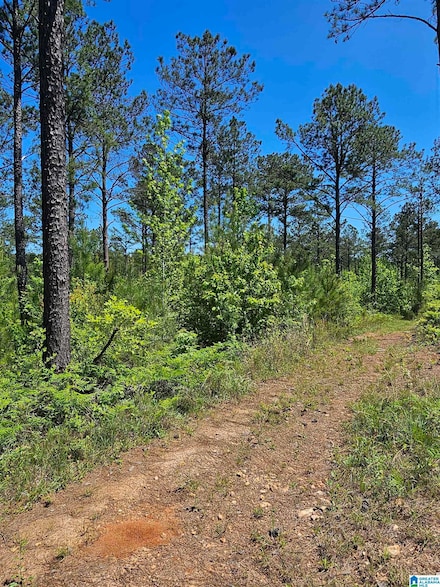 0 County Road 454 Unit 1 21385016, Clanton, AL 35046