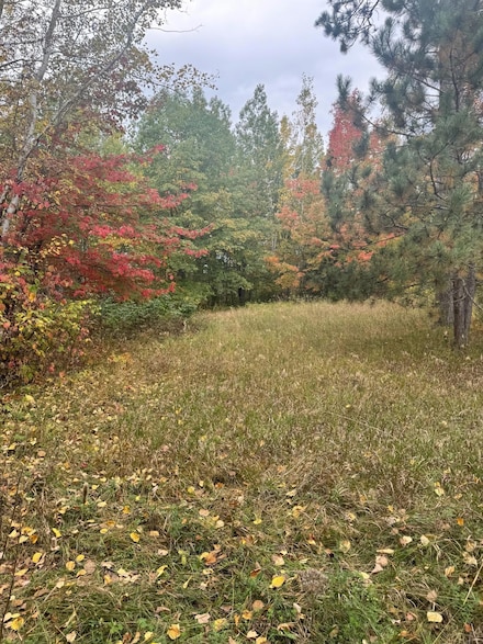TBD Pond View Ln NW, Shingobee Township, MN 56484