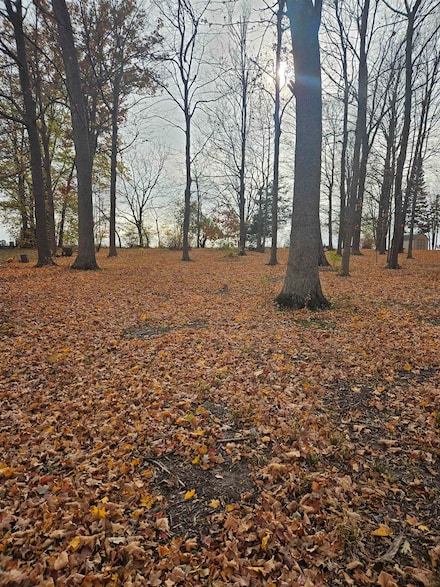 2203 Gainsboro Ave, Davis, IL 61019