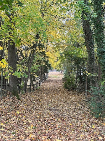 39 Noroton Ave, Darien, CT 06820