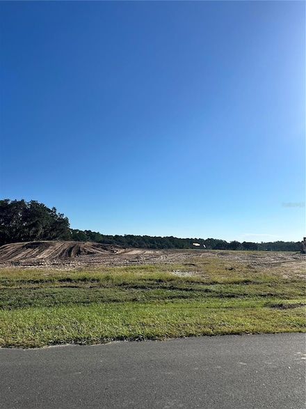 38404 Wooded Meadow Dr, Umatilla, FL 32784