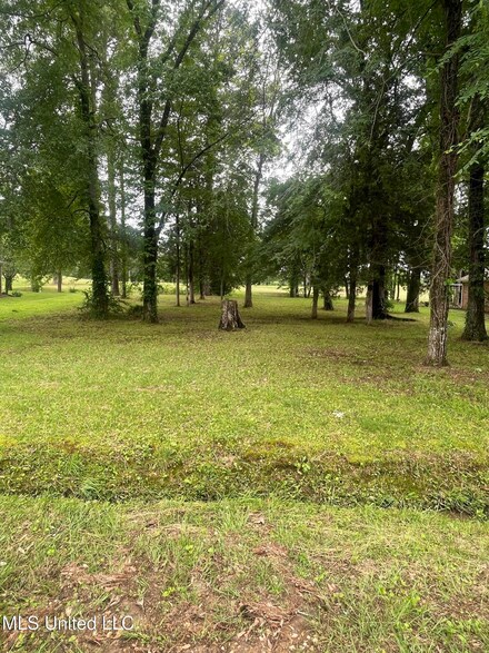 803 Oak Trail, Canton, MS 39046