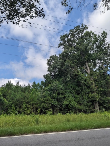 0 Highway 174 Unit 23016517, Adams Run, SC 29449
