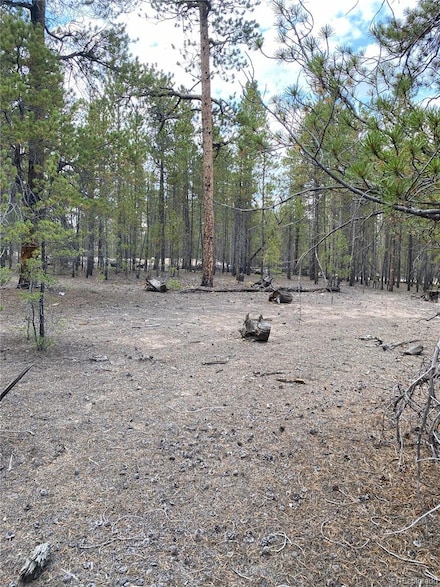 340 Peak View Dr Unit 258, Leadville, CO 80461