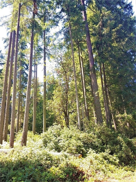 11520 Greenwood Dr, Anderson Island, WA 98303