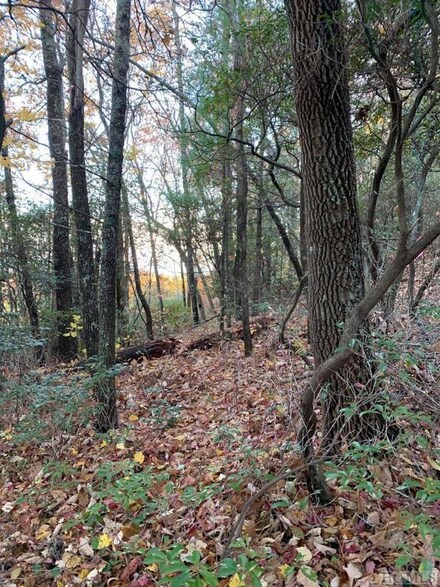 L-34 Lakeside Dr, Hogback, NC 28747