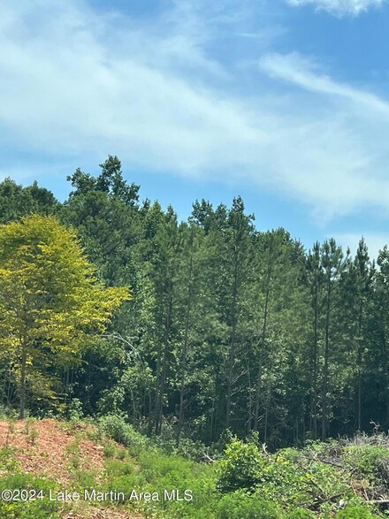 0 Manoy Dr, Jacksons' Gap, AL 36861
