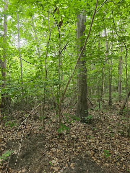 Lot D 64th St, Holland, MI 49423