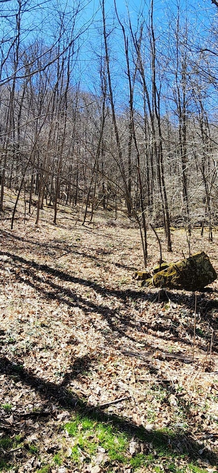 795 Little Mountain Dr, Hillsboro, WV 24946