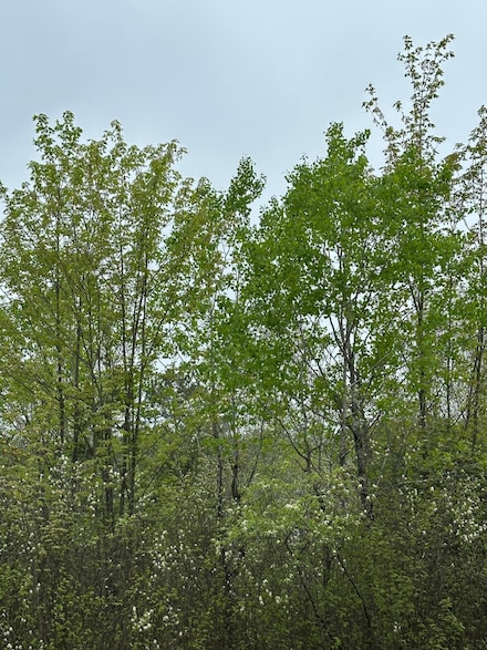 ON Kelly Fire Ln Unit Lot 3, Tomahawk, WI 54487