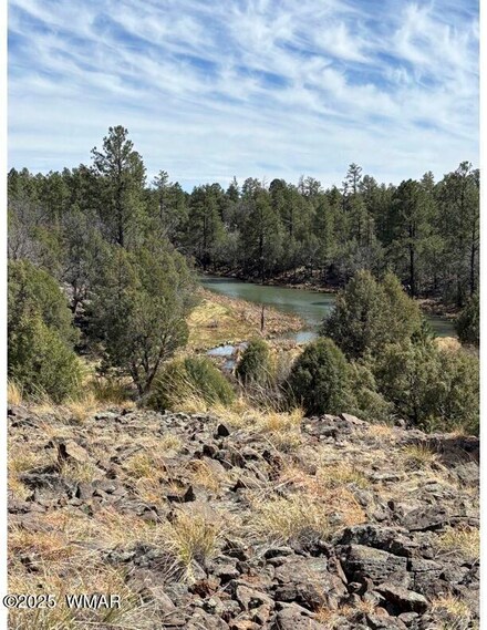 0 Show Low Lake Area Unit 255716, Show Low, AZ 85901