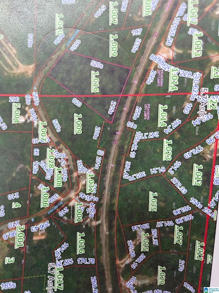 00 Alabama 148, Talladega Springs, AL 35150