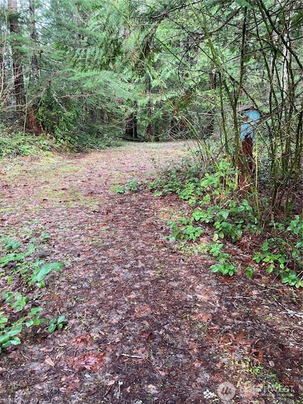231 N Goldeneye Dr, Hoodsport, WA 98548
