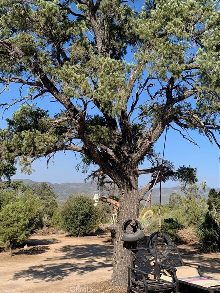 60995 Jeraboa Rd, Mountain Center, CA 92561