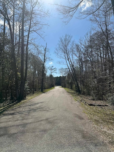 1.571 AC Lot 21 County Road 173 Unit Cypress Hills, Jasper, TX 75951