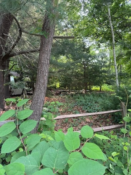 0 Elmwood Ave, Warwick, RI 02886