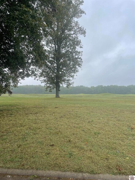 0 Torrey Pines Unit Drake Creek, Ledbetter, KY 42058