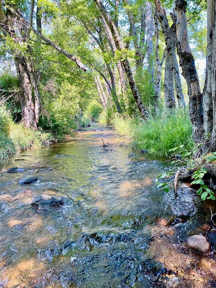 3.1 Acres S Shasta Ranch Rd, Mount Shasta, CA 96067