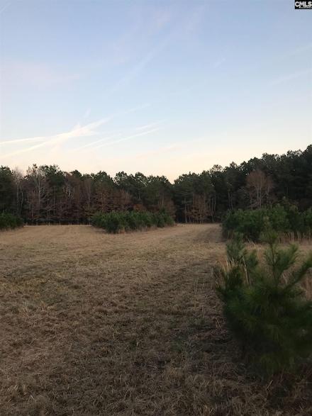 0 Basil Rd Unit 608722, Swansea, SC 29160