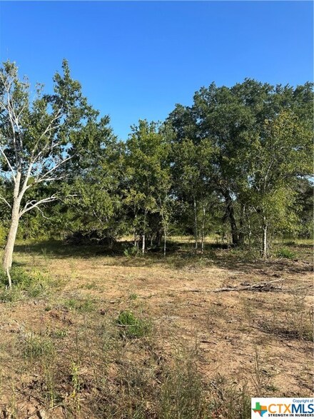 5986 Fm 1107 (Tract 4) Unit A, Stockdale, TX 78160
