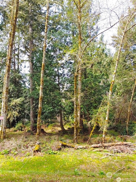 10114 Selma Cir, Anderson Island, WA 98303