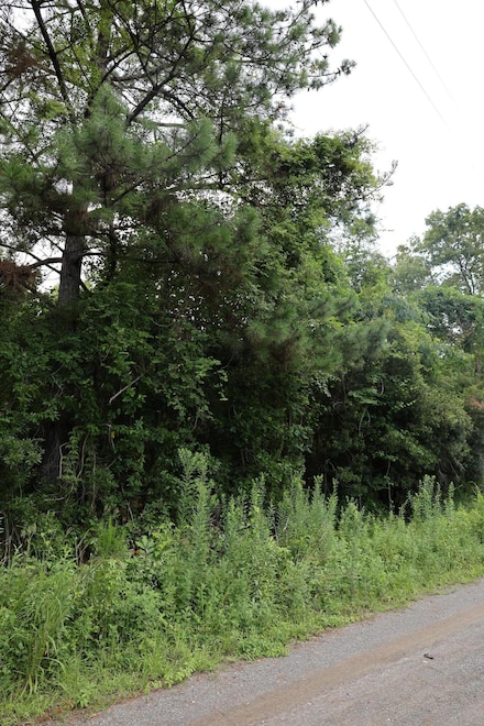 45 Partridge Rd, Kingstree, SC 29556