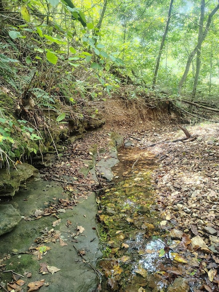 000 Farm Road 1245, Jenkins, MO 65605