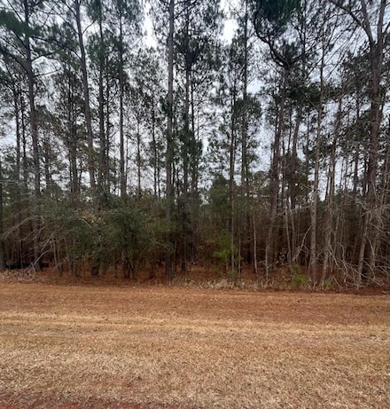 Lot 80 Banning, Tallahassee, FL 32309