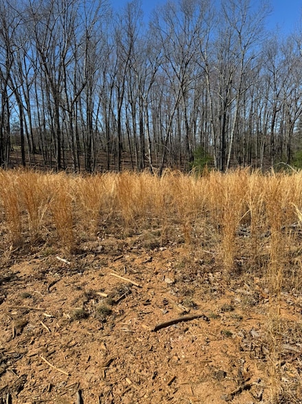Lot 6A Navajo Cir, Henry, VA 24102