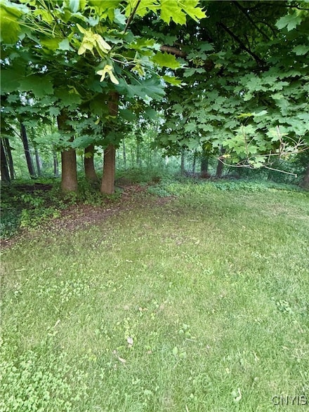 0 Court St, Aurelius, NY 13034