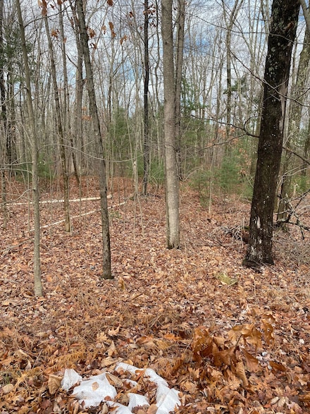 0 Beebe Rd, Monson, MA 01057