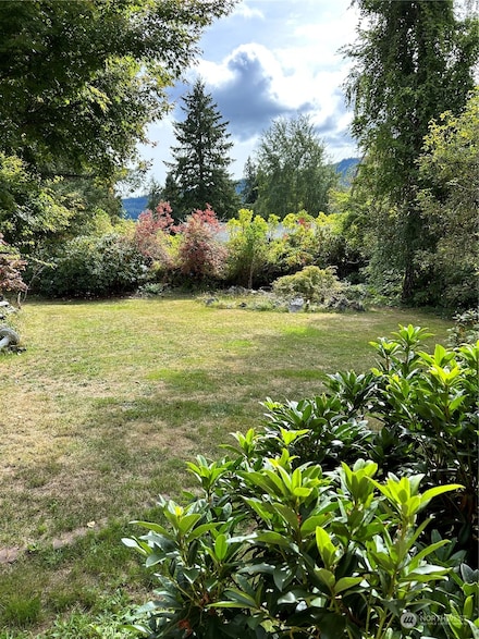 464 Peters Rd, Randle, WA 98377