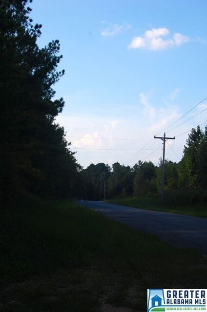 0 County Road 15 Unit 40+/- Acres 728228, Maplesville, AL 36750