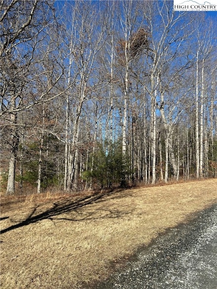 23 Bear Den Rd, Sparta, NC 28675
