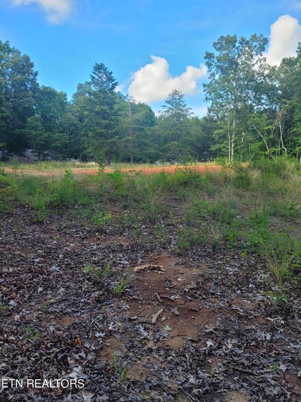0 Delk St, Jamestown, TN 38556