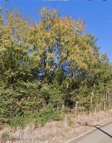 Tbd Hobbtown Rd, Rudy, AR 72952