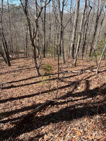 00 Timberland Trail, Franklin, NC 28734